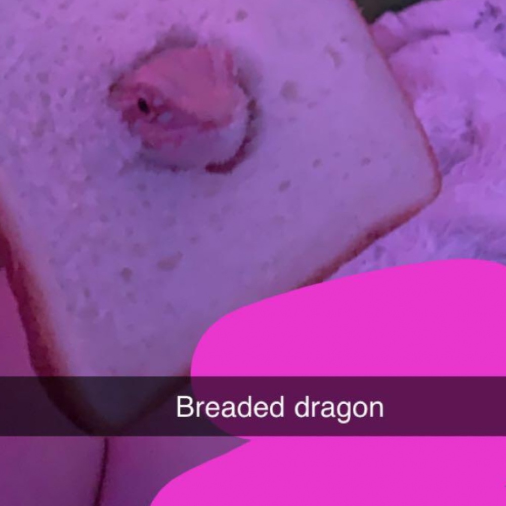 Meet your Posher, Kyle